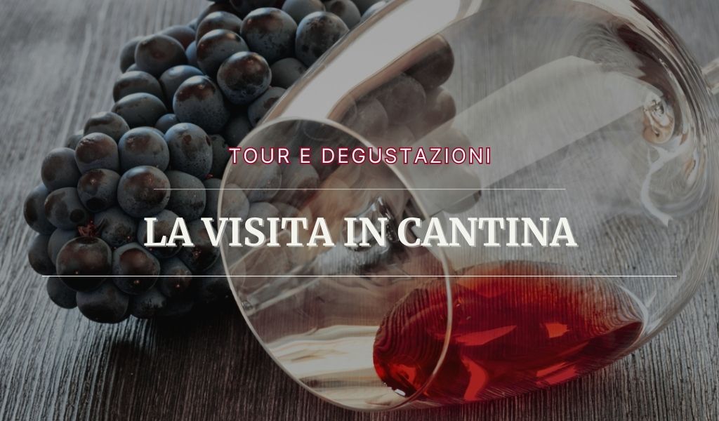 Visitare cantine in Sicilia