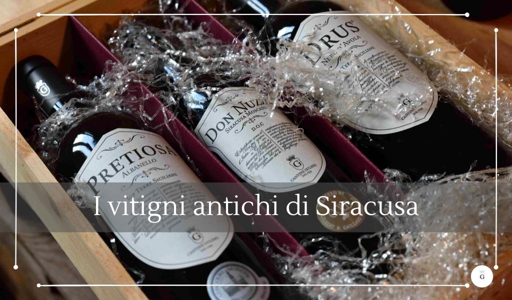 I vitigni antichi siciliani - Cantine Gulino