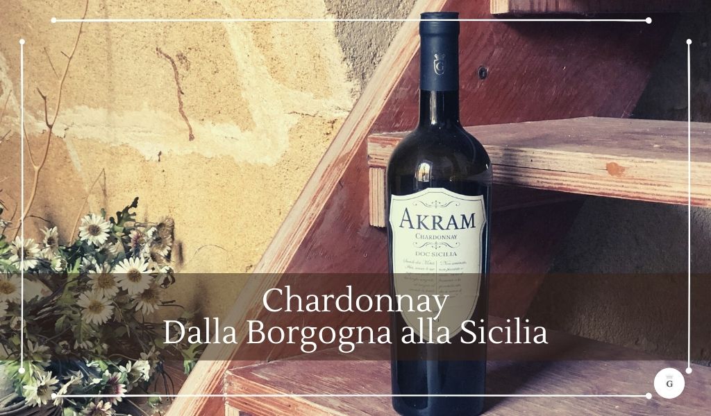 Il vitigno Chardonnay declinato nel vino bianco Chardonnay Akram - Cantine Gulino