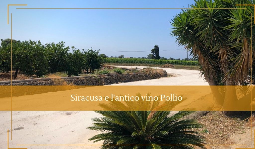 Vini tipici siciliani Sairacusa e l'antico vino Pollio - Cantine Gulino
