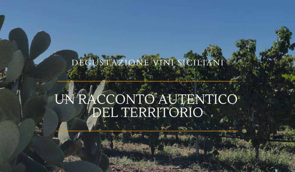 Degustazione vini siciliani, racconto del territorio - Cantine Gulino