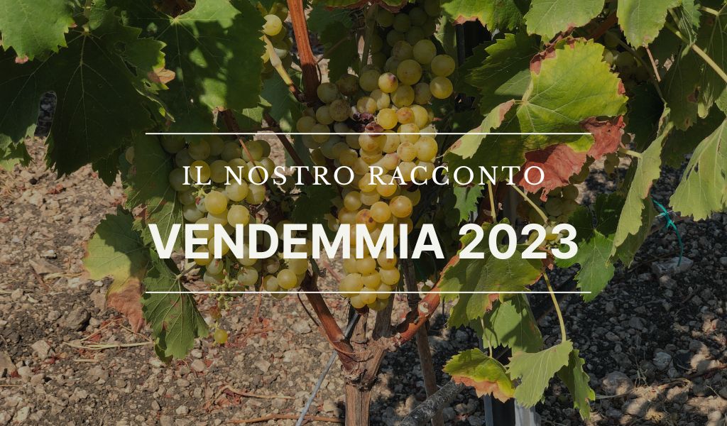 La nostra vendemmia 2023